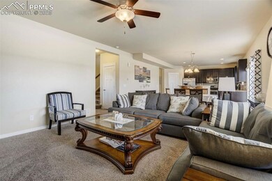 10208 Abrams Dr, Colorado Springs, CO 80925 - photo 5