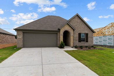 533 Hickory Ridge Dr, van Alstyne, TX 75495 - photo 4