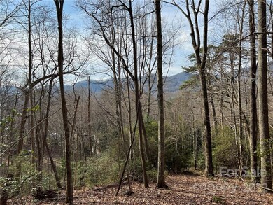 999 Sleepy Gap Rd unit 6, Arden, NC 28704 - photo 4