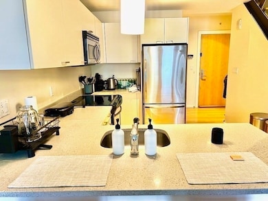 Sierra & Tango Condominiums unit T121, Cambridge, MA 02141 - photo 6