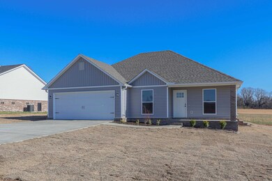 57 Granny Jean, Paragould, AR 72450 - photo 2