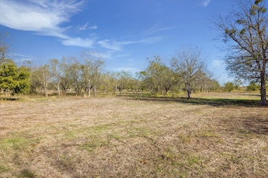 10719 San Jose Ave, Del Valle, TX 78617 - photo 4