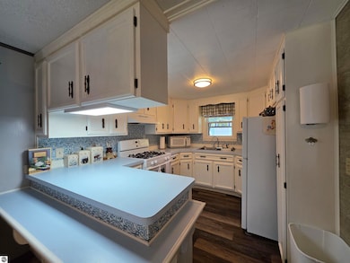 4813 Michigan 55, Prescott, MI 48756 - photo 5