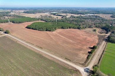 Lot 9 & 10 County Road 6, Headland, AL 36345 - photo 3