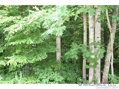 Beautiful, Wooded Homesite