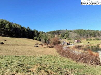 TBD Rd, West Jefferson, NC 28694 - photo 6