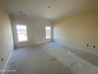 209 Rae Dr, Pikeville, NC 27863 - photo 7