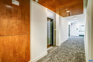 1035 Heathercroft Cir unit 303, Crozet, VA 22932 - photo 6