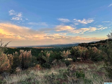 45 Rachel Rd, Silver City, NM 88061 - photo 7