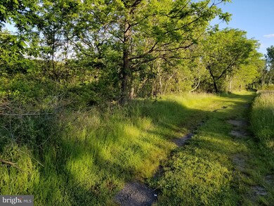 7931 Frys Ln, Windsor Mill, MD 21244 - photo 4