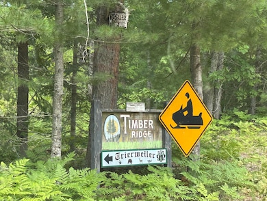 36114 W Ridge Rd, Paradise, MI 49768 - photo 3