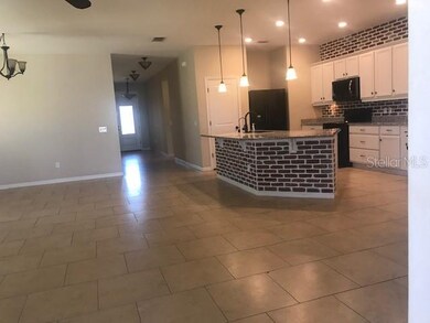 10620 Aldo Moro Dr, Wimauma, FL 33598 - photo 4