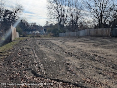 2817 W Willow St, Lansing, MI 48917 - photo 2