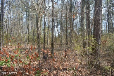 0 Nicholson Dr unit 1000407513, Colonial Beach, VA 22443 - photo 2