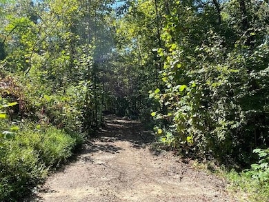 Another View of part of lot