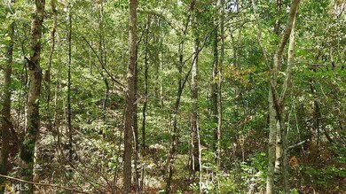 0 Nicklesville Rd NE unit 9637 8073887, Ranger, GA 30734 - photo 4