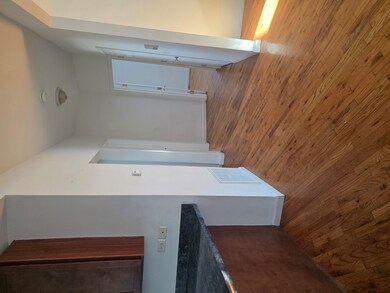 820 E 44th St unit 2, Chicago, IL 60653 - photo 2