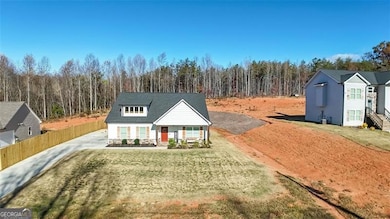 3039 Georgia 17, Clarkesville, GA 30523 - photo 3