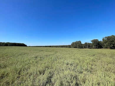 Unnamed Rd, Depew, OK 74028 - photo 5