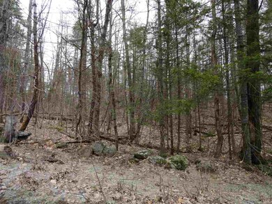 0 Lajoie Rd unit 4745549, Wilmot, NH 03287 - photo 7