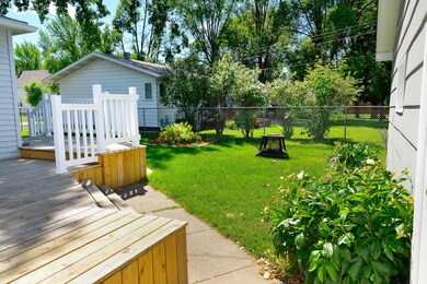 back yard 1
