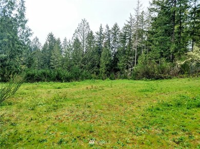 17301 17302 Hill Ct SE, Yelm, WA 98597 - photo 4