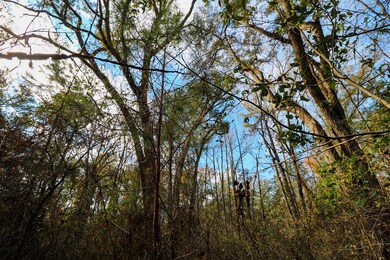 2200 Wyndham Way, Bainbridge, GA 39819 - photo 6