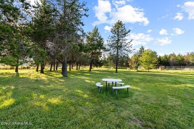 Trinity Picnic anyone