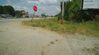 0 Bankhead Hwy and Sassafras unit 202, Carrollton, GA 30116 - photo 4