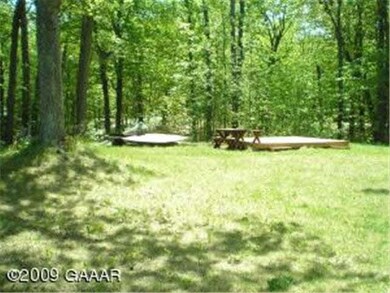 9991 Paulins Ln, Alexandria, MN 56308 - photo 5