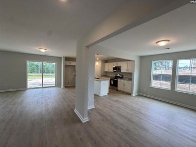 3019 Hallsdale Dr, Elgin, SC 29045 - photo 5