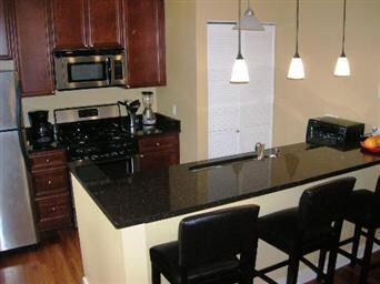 3410 W Parker Ave unit 2, Chicago, IL 60647 - photo 4