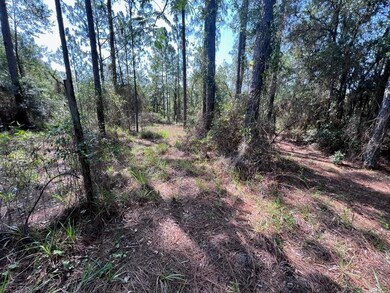 21970 SW Anchor Blvd, Dunnellon, FL 34431 - photo 5