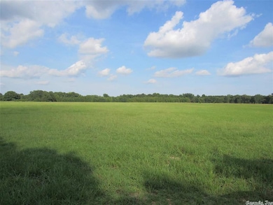 31.5 acres Ponderosa Dr, Jonesboro, AR 72401 - photo 3