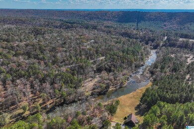 8799 Shades Fall Way, Bessemer, AL 35022 - photo 7