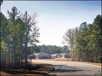 5052 Shiloh Ridge Dr, Tyler, TX 75703 - photo 2