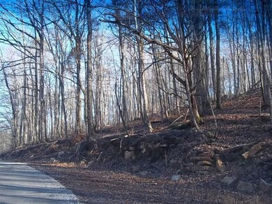 360 Pumpkin Hollow Rd, Somerset, KY 42501 - photo 5