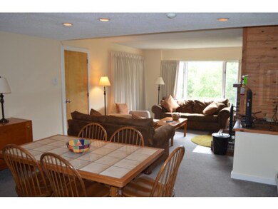 D Snowtree Lane Oaks unit D, Dover, VT 05356 - photo 2