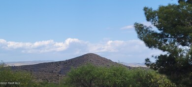 view blm