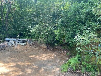 N/A N A, Scaly Mountain, NC 28775 - photo 5