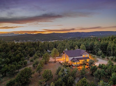 234 D Bar K Dr, Durango, CO 81301 - photo 3