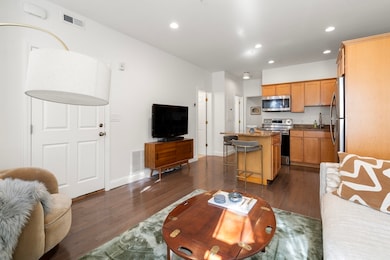 58 E Springfield St unit 1, Boston, MA 02118 - photo 6