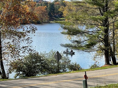 View of Lake Logan #2