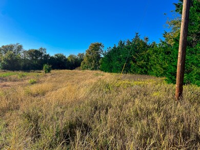 Tract #1 Farm To Market 1774, Anderson, TX 77830 - photo 5