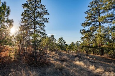10421 Remmick Ridge Rd, Parker, CO 80134 - photo 7