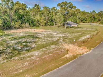 XX Sellars, Crawfordville, FL 32327 - photo 2