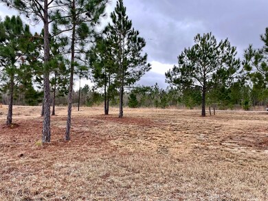 Level Lot View