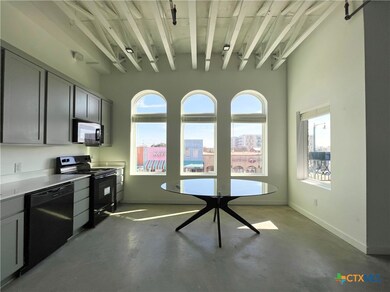 301 N Lbj Dr unit 203, San Marcos, TX 78666 - photo 3