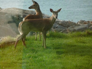 Wildlife habitat in the area is...