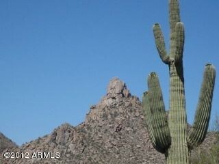IMG_0446
